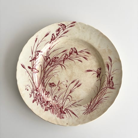 サマリテーヌ Samaritaine Colibri plate Jules Vieillard E