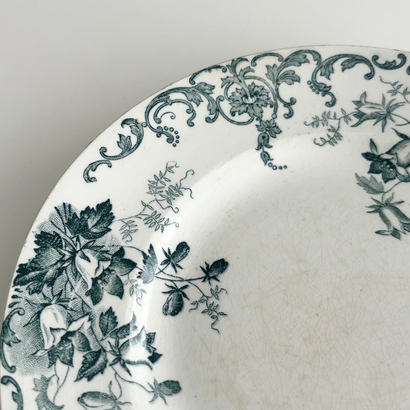 Campanule saint Amand プレート　深皿　グリーン　サンタマン 美術品・アンティーク・コレクション Campanule saint Amand プレート
