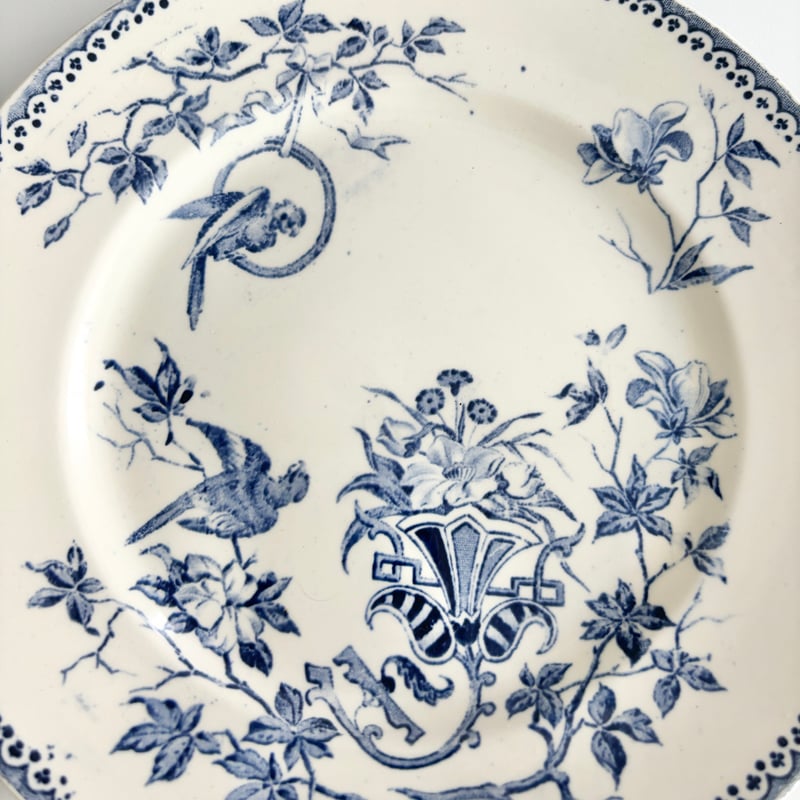 クレイユモントロー Creil et Montereau Perruche インコ プレート