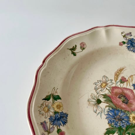 サルグミンヌ Sarreguemines AGRESTE dinner plate E 野花のプレート