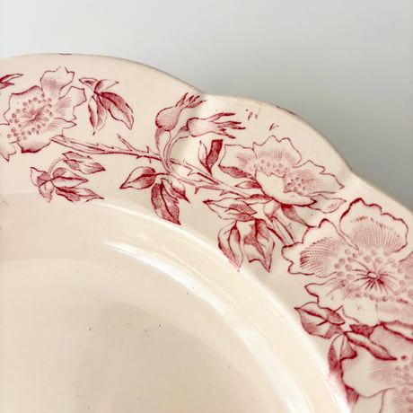 ロンシャン Longchamp soup plate Eglantines スーププレート深皿 F