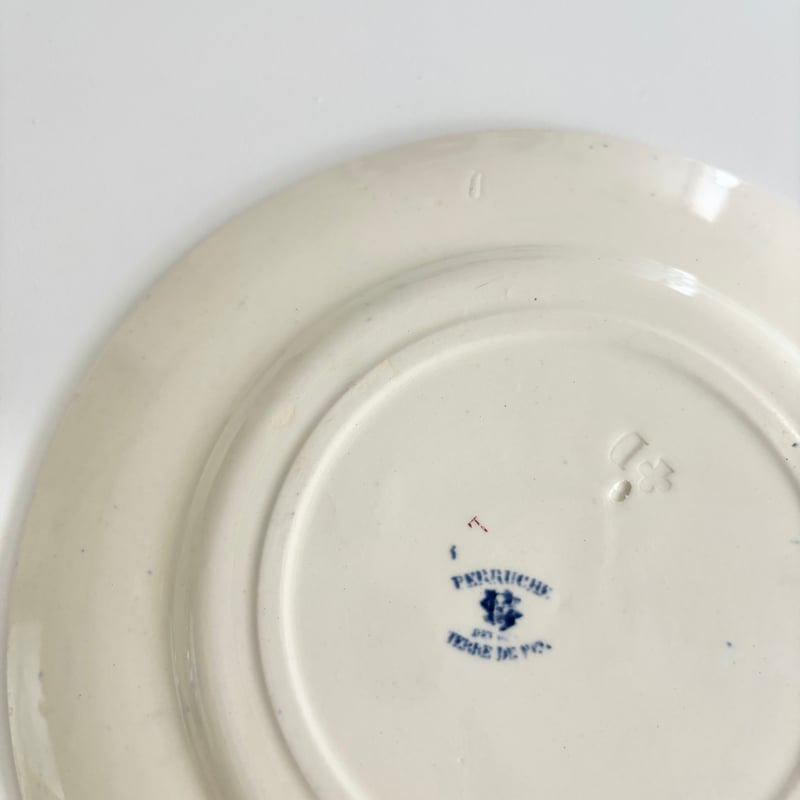 クレイユモントロー Creil et Montereau Perruche インコ プレート