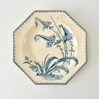 クレールフォンテーヌ Clairefontaine INDIANA deep plate F