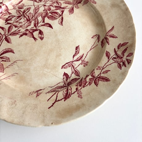 サマリテーヌ Samaritaine Colibri plate Jules Vieillard D