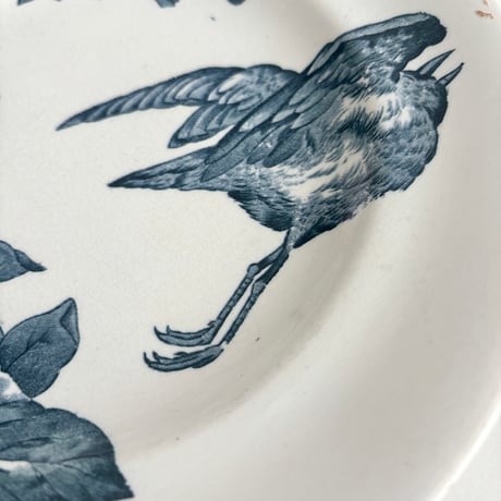 ロンウィ Longwy assiette oiseau bleu dinner plate