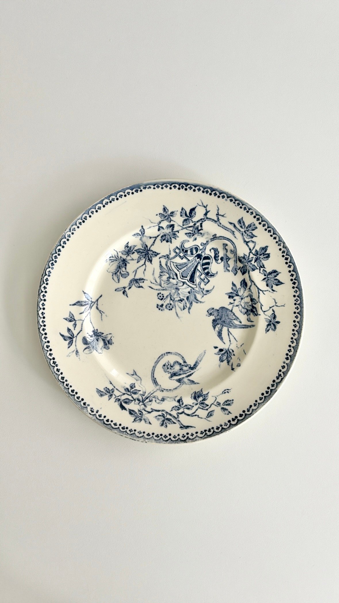 クレイユモントロー Creil et Montereau Perruche インコ プレート