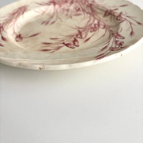 サマリテーヌ Samaritaine Colibri plate Jules Vieillard E