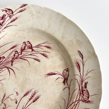 サマリテーヌ Samaritaine Colibri plate Jules Vieillard E