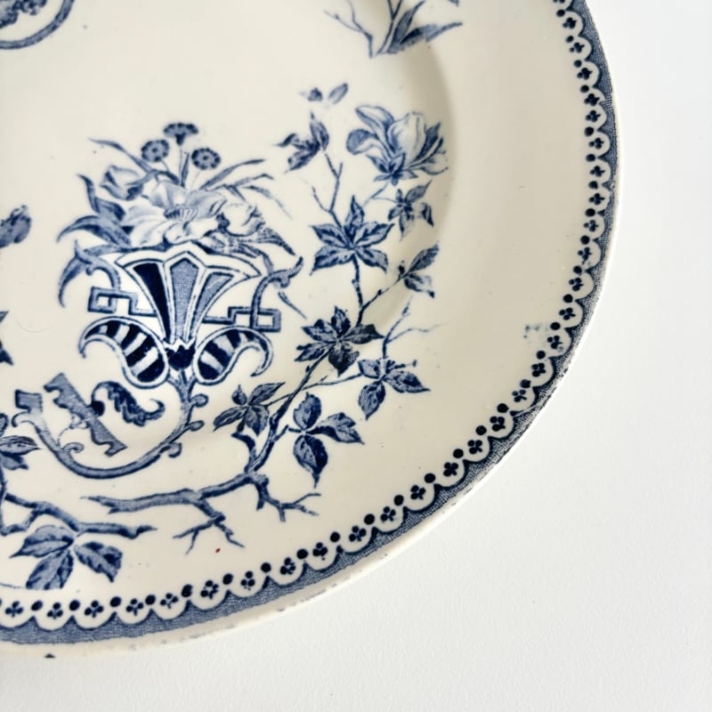 クレイユモントロー Creil et Montereau Perruche インコ プレート