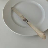 couteau à fromage huître perlée blanche B