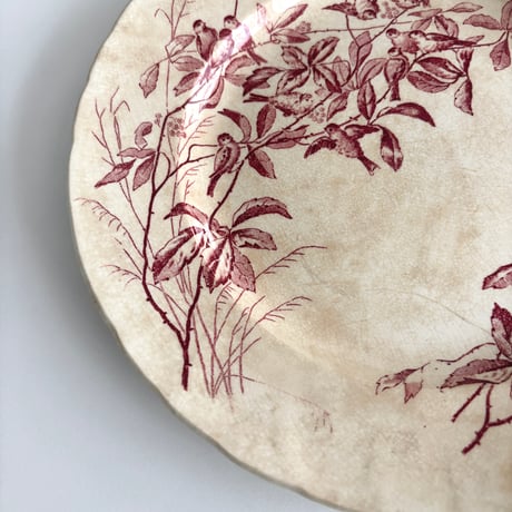 サマリテーヌ Samaritaine Colibri plate Jules Vieillard D