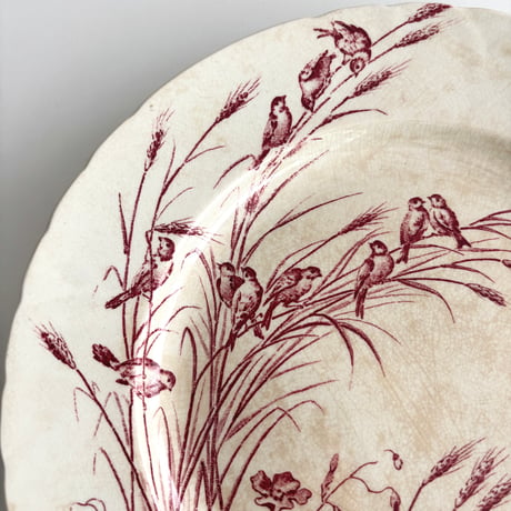 サマリテーヌ Samaritaine Colibri plate Jules Vieillard E