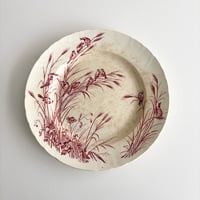 サマリテーヌ Samaritaine Colibri plate Jules Vieillard C
