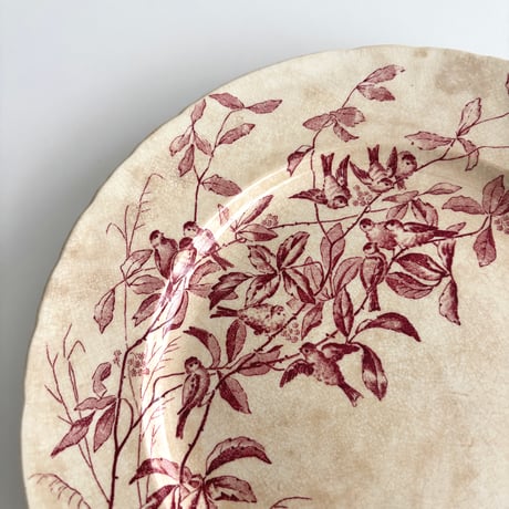 サマリテーヌ Samaritaine Colibri plate Jules Vieillard D