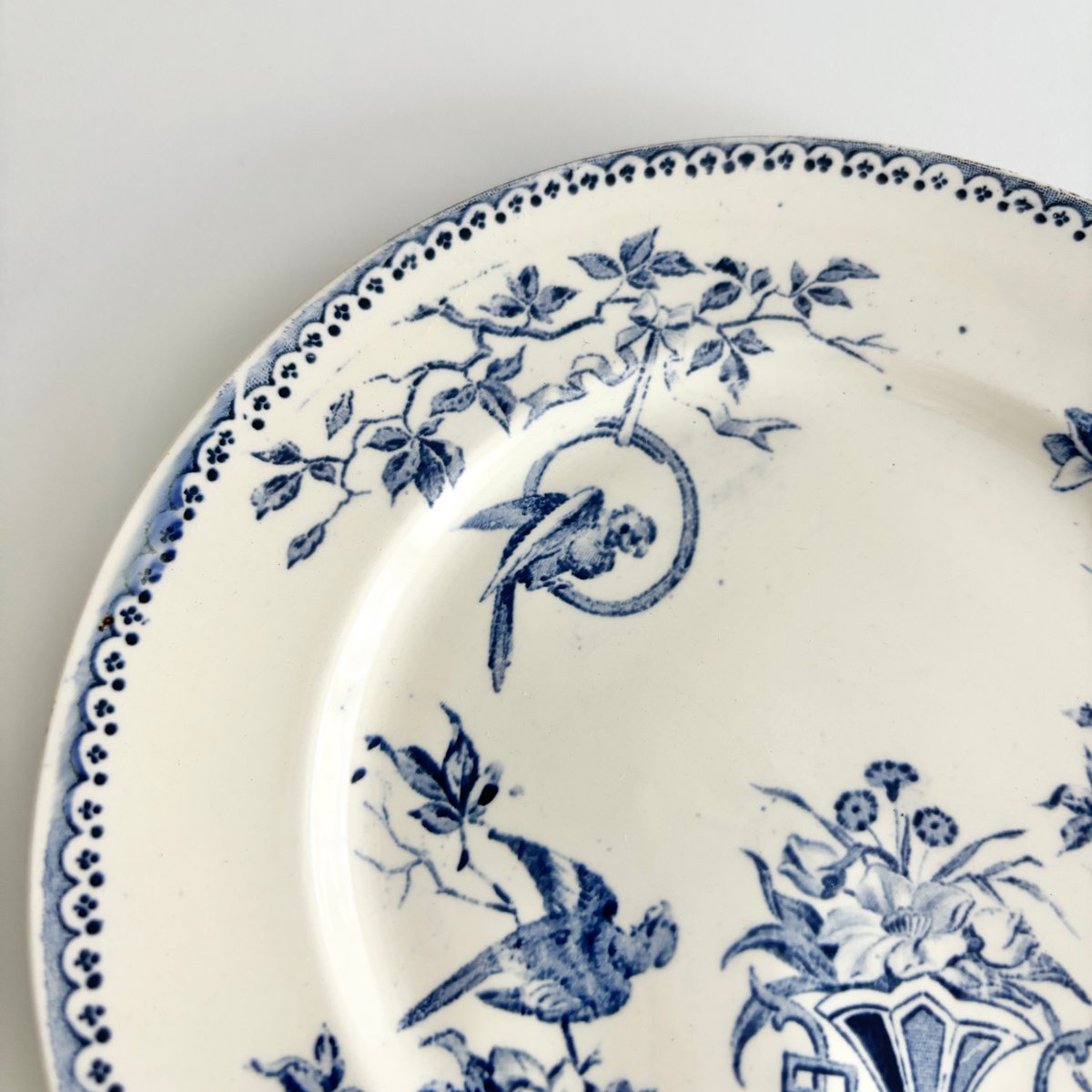 クレイユモントロー Creil et Montereau Perruche インコ プレート
