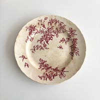 サマリテーヌ Samaritaine Colibri plate Jules Vieillard B