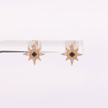 ブラックダイヤモンド | STORES