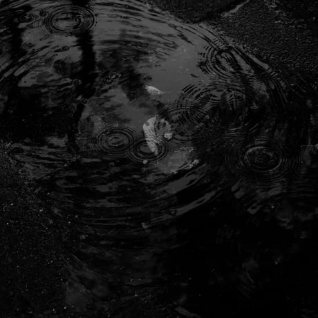 モノクロ写真- Item No,P3M0080
