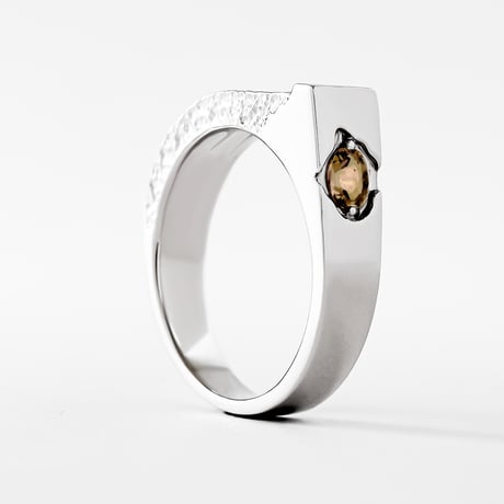 "Torso" 04 Ring