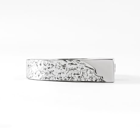 "Torso" 04 Ring