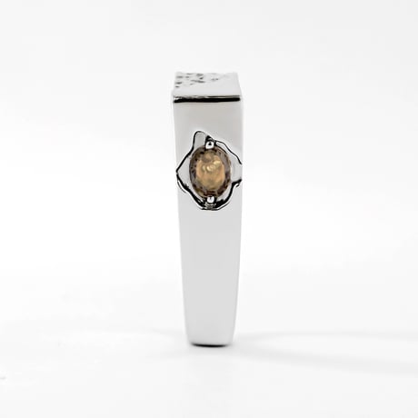 "Torso" 04 Ring