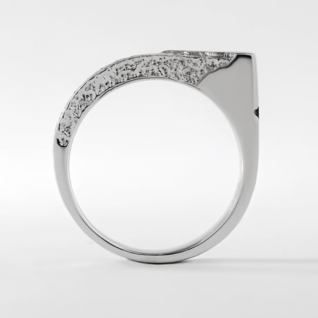 "Torso" 04 Ring