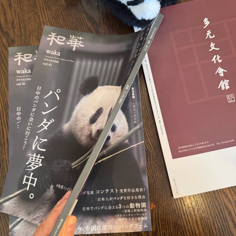 みんなだいすきシャンシャン】みんなパンダに夢中 和華vol41