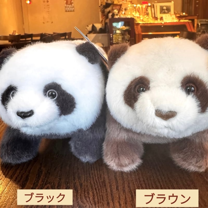 ATTOLUCKY】福元パンダぬいぐるみ ブラウン&ブラック | ぱんだ珈琲店