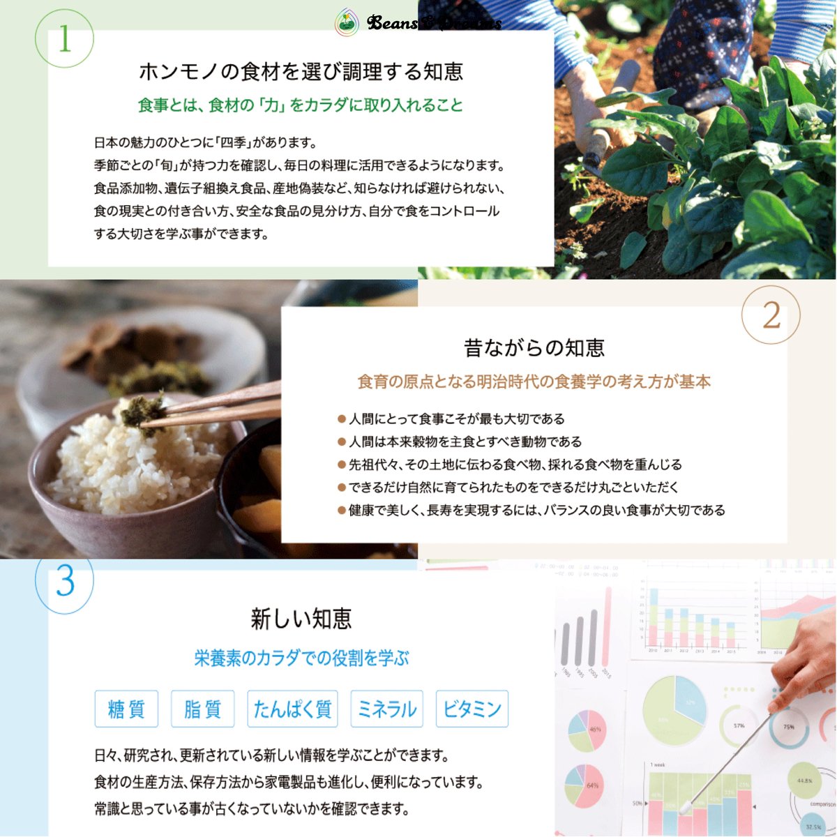 IFCA食学アドバイザー資格取得講座（講師：濱村専用） | Beans & Dreams