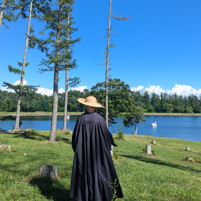 MOONLIGHT 182 SHIRT DRESS | madder madder