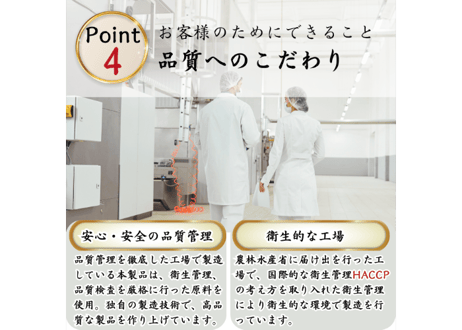 犬用 国産 WANPERO 青汁ジャーキー 40g｜九州産 大麦若葉使用 ナチュラル ペットおやつ