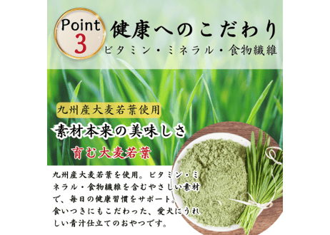 犬用 国産 WANPERO 青汁ジャーキー 40g｜九州産 大麦若葉使用 ナチュラル ペットおやつ
