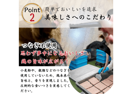 犬用 国産 WANPERO 青汁ジャーキー 40g｜九州産 大麦若葉使用 ナチュラル ペットおやつ