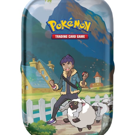 CATEGORY ポケモンサプライ | Huskita TCG