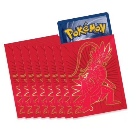 海外限定　コライドン　スリーブ＋仕切り　ポケモン
