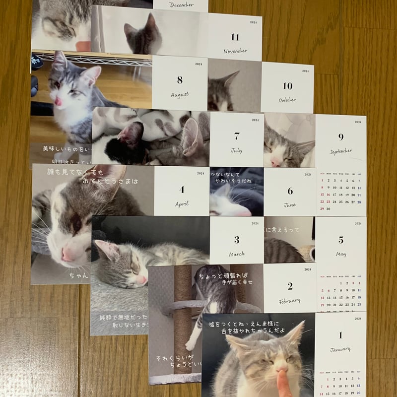 ひかちゃん卓上カレンダー | 全盲ひかちゃん保護猫応援SHOP