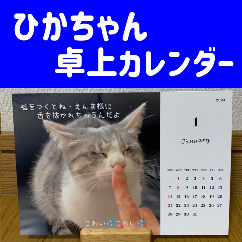 ひかちゃん卓上カレンダー | 全盲ひかちゃん保護猫応援SHOP
