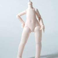 hoshikawadoll's STORE