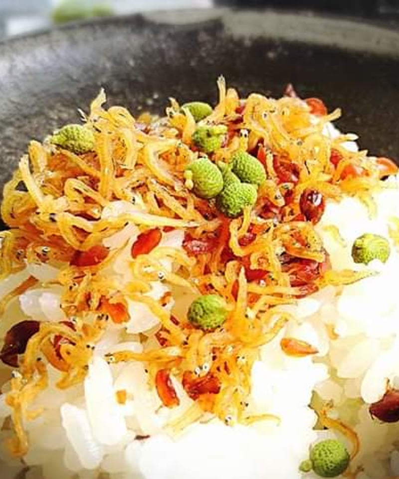 2024年新物】 朝倉山椒(冷凍)100g | 旬の店 なかふさ 2024年新物】 朝倉山椒(冷凍)100g | 旬の店 なかふさ