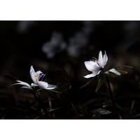 2016年　作品1