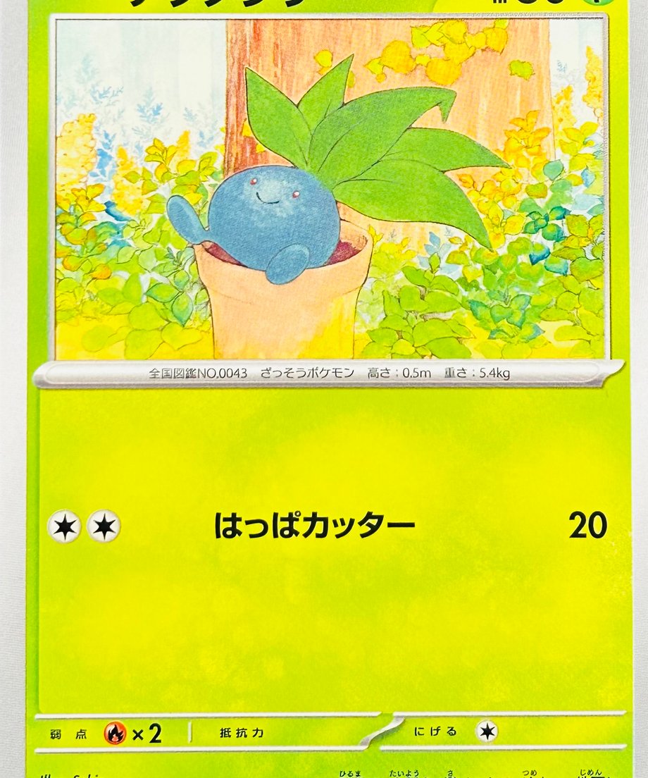 65db470856e39c0001735e33