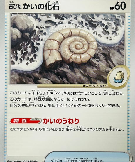 古びたかいの化石　C（154/165）［SV2a］