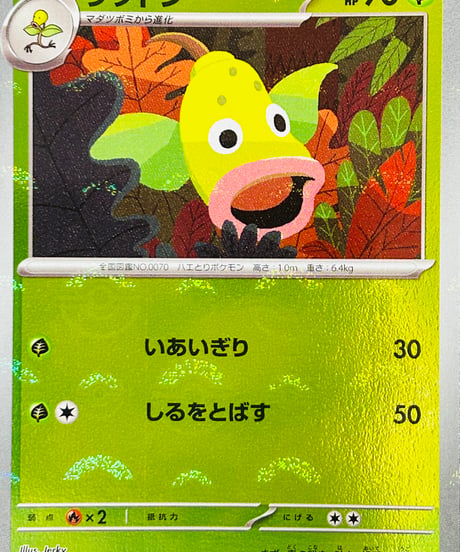ウツドン　C（070/165）［SV2a］