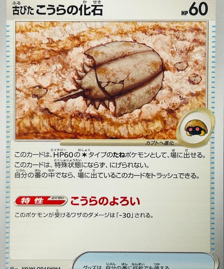 古びたこうらの化石　C（155/165）［SV2a］