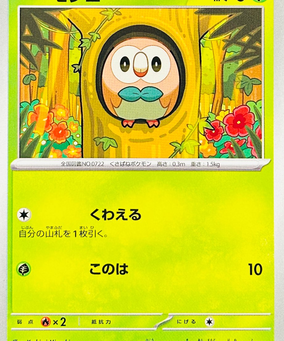 6663376bb8d72e00018e53fe