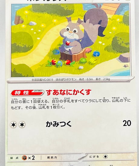 ホシガリス　（148/190）【SV4a】