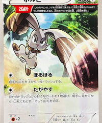 ホルビー　（107/171）【XY】