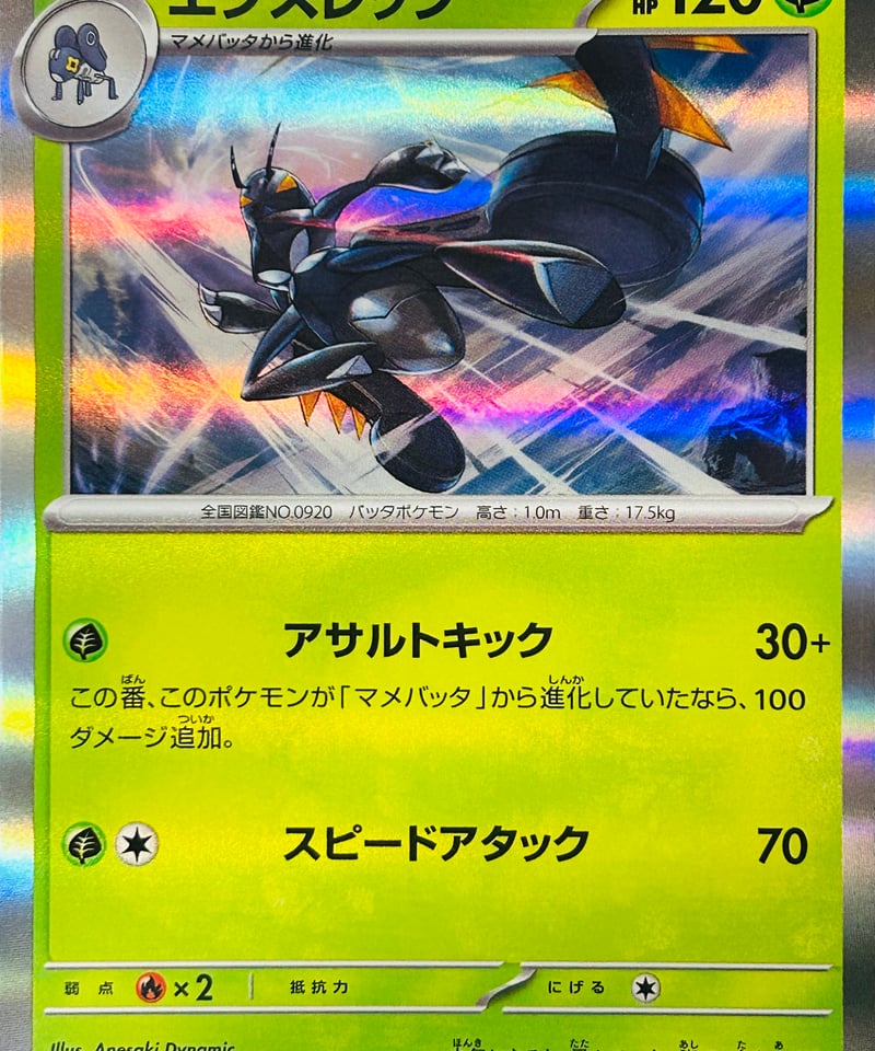エクスレッグ R（010/073）［SV1a］ | TCG SHOP Bluve