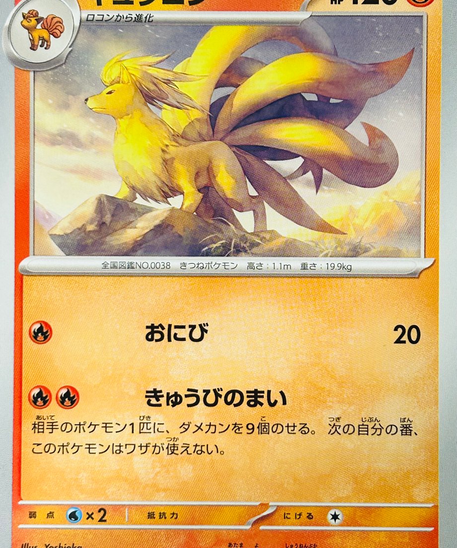 6555d13051c85c0049abfc44