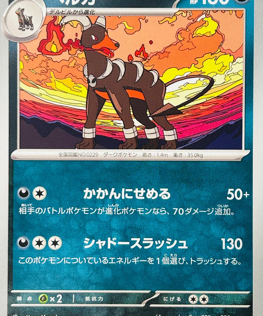 6555c804464e550031ec521b